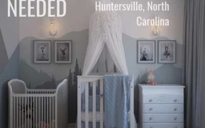 Experienced Nanny Needed