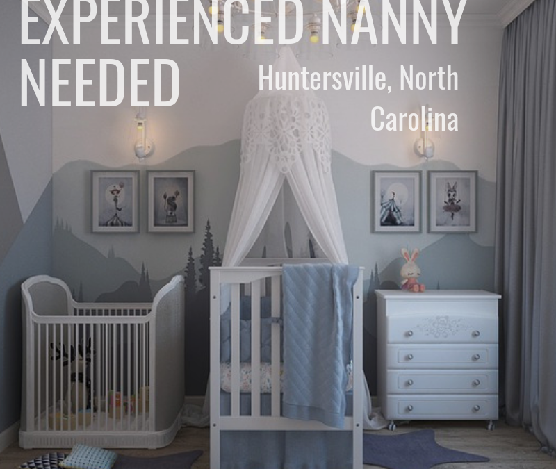 Experienced Nanny Needed