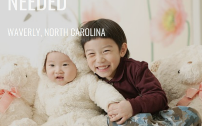 Joyful Nanny Needed