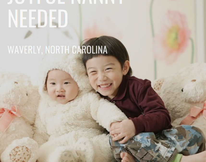 Joyful Nanny Needed