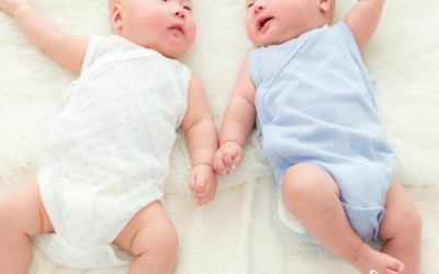 Newborn Care Specialist for Twins Needed in Huntersville, NC- Filled