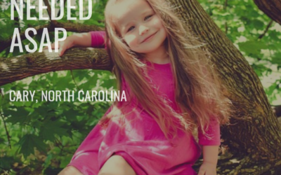 Full Time Nanny Needed: Cary, North Carolina