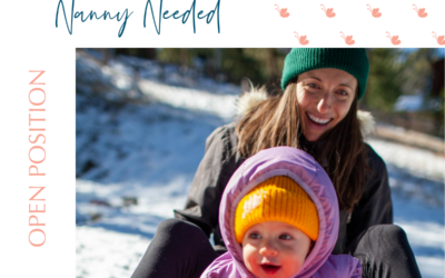 Live-In Travel Nanny Needed- Filled