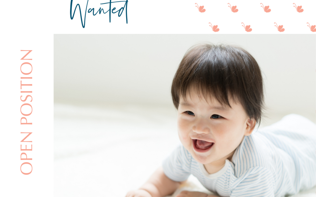 Calming Nanny Wanted – Huntersville, NC – Filled