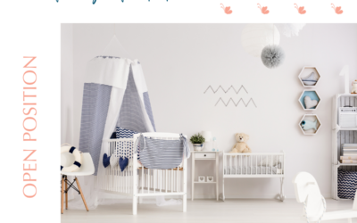 Live In or Live Out Nanny Wanted in Charlotte, NC