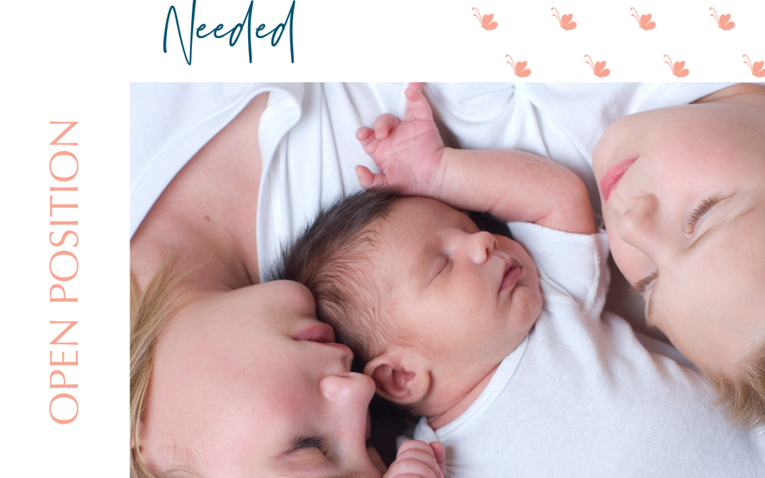 Caring Nanny Needed in South Charlotte-Paused