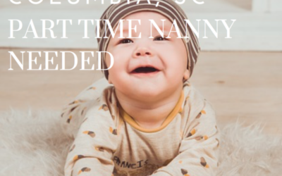 Part Time Nanny Needed – Columbia, SC