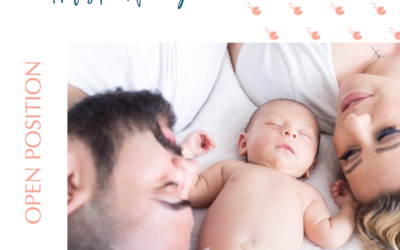 Holistic Nanny Needed for Newborn