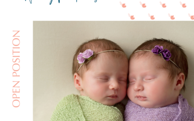 Joyful Nanny for Twins Needed