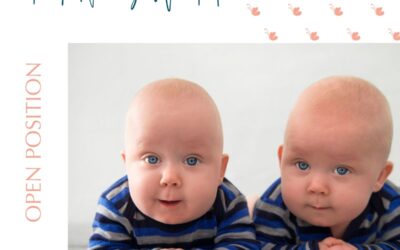Temp Nanny Needed for Twins